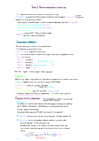 tema-2-anemia-megaloblastica.pdf