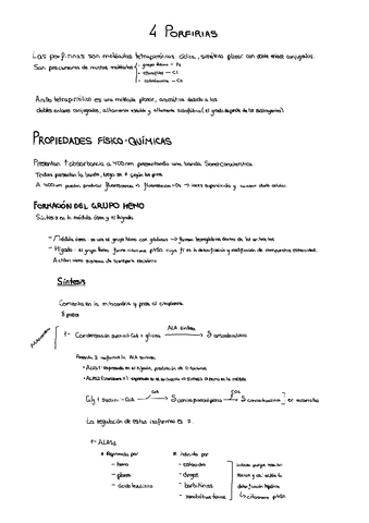 tema-4-porfirias.pdf