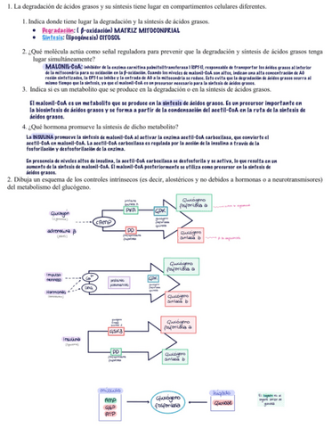 Examen-Desarrollo-BQ2-CORREGIDO.pdf