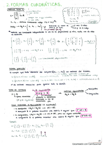 Tema-2.-Formas-cuadraticas-Apuntes-y-ejercicios-resueltos-Matematicas-I.pdf