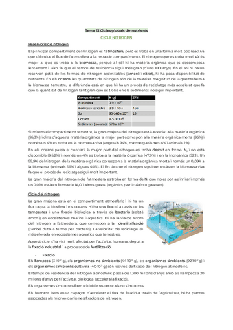 Tema13CiclesGlobals.pdf