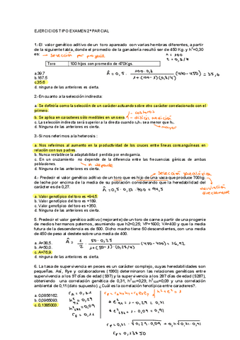 Ejercicios-Tipo-Examen.pdf