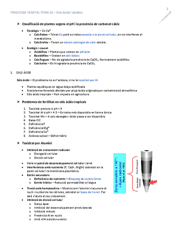 T16SolsAcidsAlcalins.pdf
