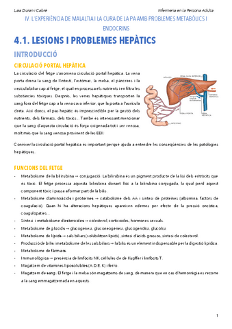 IVProblemesmetabolics.pdf