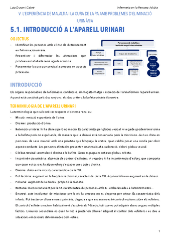 VRenalelectrolitsAB.pdf