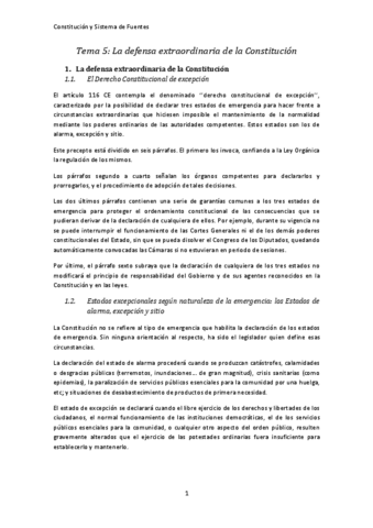 Material-5-RESUMEN.pdf