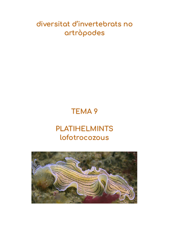 apunts-2n-parcial-zoo-temes-9-14.pdf