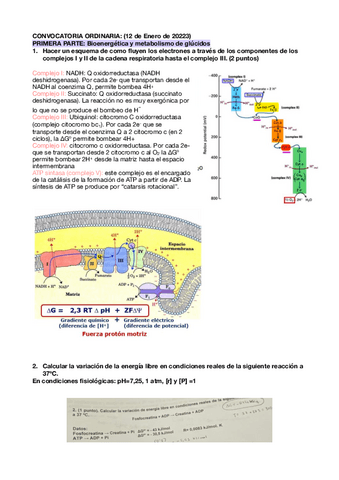 Examen-ordinaria-20222023-bioquimica-y-biologia-molecular-II.pdf