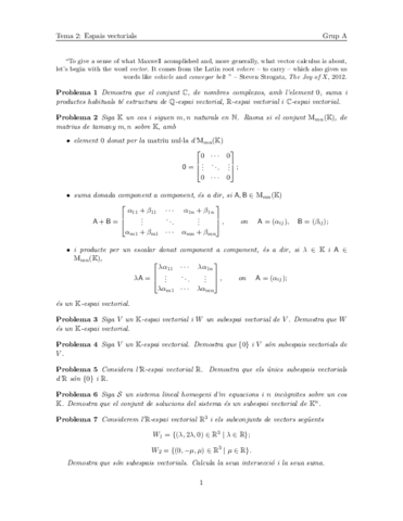 Practica-2-Espais-vectorials.pdf