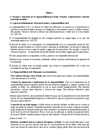 Tema-1.-Completo-Danos.pdf