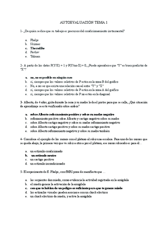 Autoevaluaciones-aprendizaje.pdf