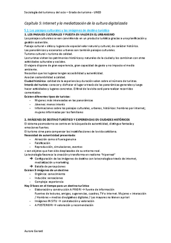 Resumen-Capitulo-5.pdf
