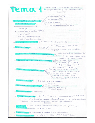 Esquema-Tema-1.pdf