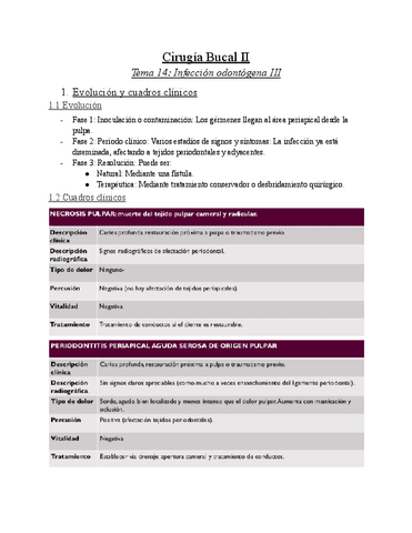 Cirugia-Bucal-II-10.pdf