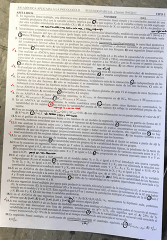 Teoricos-Muchos.pdf