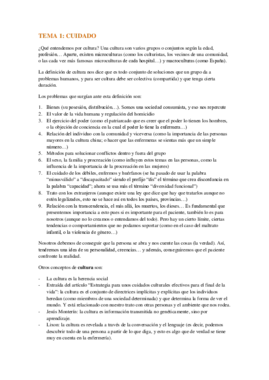 TEMA 1.pdf