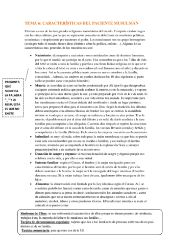 TEMA 6.pdf