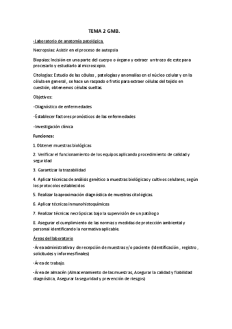 TEMA-2-GMB-resumen.pdf