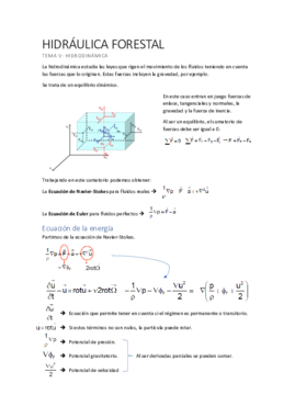 Tema V.pdf