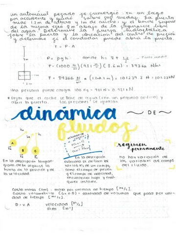 APUNTESFFCardoso-Perez-isaac-27.pdf