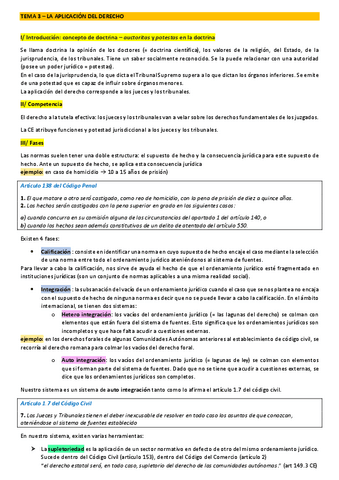 TEMA-3-LA-APLICACION-DEL-DERECHO.pdf