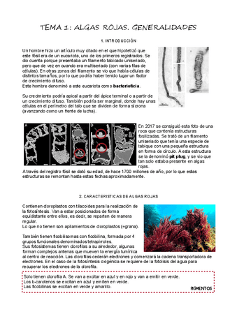 T1Algas-Rojas.pdf