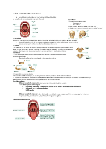 TEMA-5.pdf