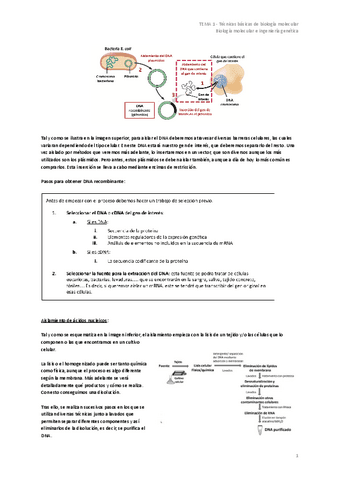 TEMA-1-Tecnicas-basicas-de-biologia-molecular.pdf