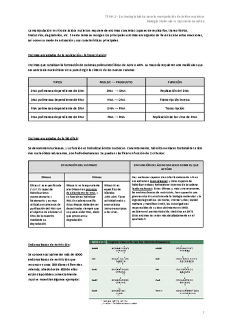 TEMA-2-Enzimologia-basica-para-la-manipulacion-de-acidos-nucleicos.pdf