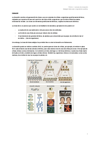 TEMA-4-Vectores-de-clonacion.pdf