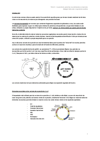 TEMA-5-Expresion-de-proteinas-recombinantes-en-bacterias.pdf