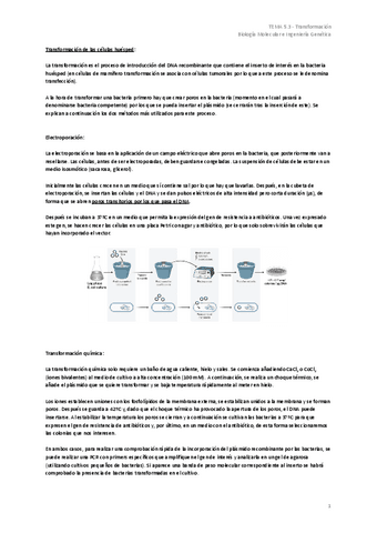 TEMA-5.3-Transformacion.pdf