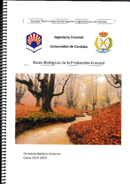 BBPF1.pdf