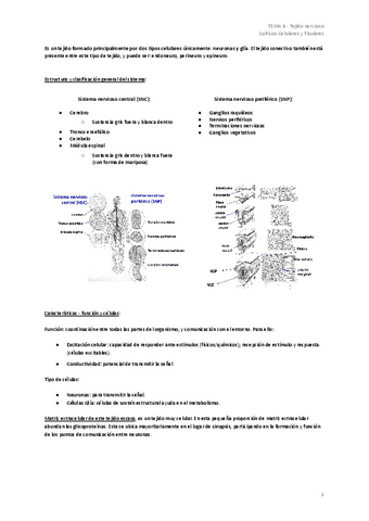 TEMA-8-Tejido-nervioso.pdf