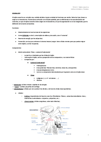 TEMA-5-Tejido-conectivo.pdf