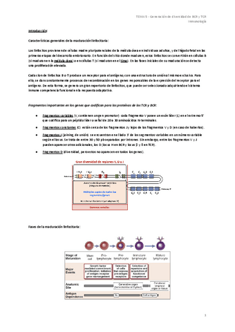 TEMA-5-Generacion-de-diversidad-de-BCR-y-TCR.pdf