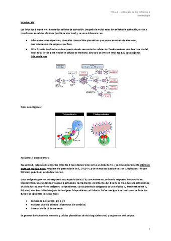 TEMA-8-Activacion-de-los-linfocitos-B.pdf