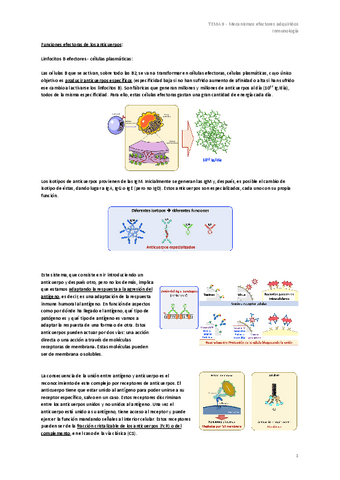 TEMA-9-Mecanismos-efectores-adquiridos.pdf