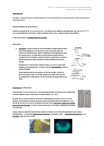 TEMA-8.3-Procariotas-de-interes-industrial.-Bacterias-fotosinteticas.pdf