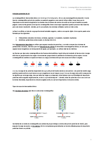 TEMA-5.1-Cromatografia-de-intercambio-ionico.pdf