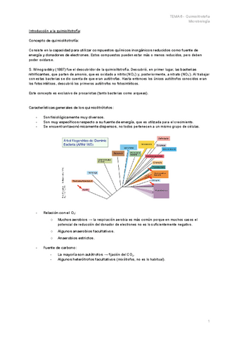TEMA-6.1-Quimiolitrotofia.pdf