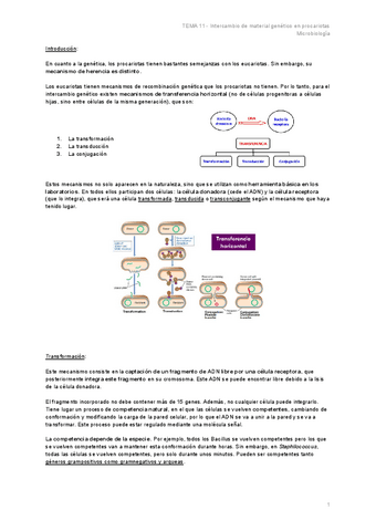 TEMA-11-Intercambio-de-material-genetico-en-procariotas.pdf