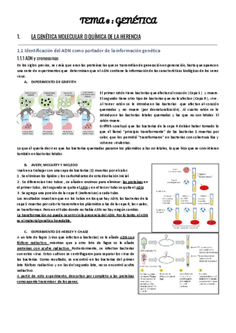 Genética molecular, genética mendeliana y evolución.pdf