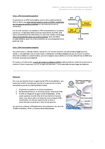TEMA-3.3-Sintesis-de-ARN-y-ADN-dependiente-de-ARN.pdf