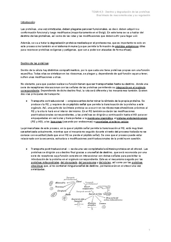 TEMA-4.3-Destino-y-degradacion-de-las-proteinas.pdf