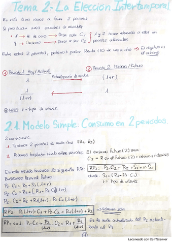 Tema-2-Analisis-Micro.pdf