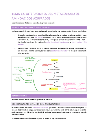 Tema-12.-Alteraciones-del-metabolismo-de-aminoacidos-azufrados.pdf