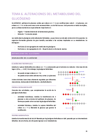 Tema-6.-Alteraciones-del-metabolismo-del-glucogeno.pdf
