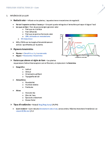 T19Llum.pdf
