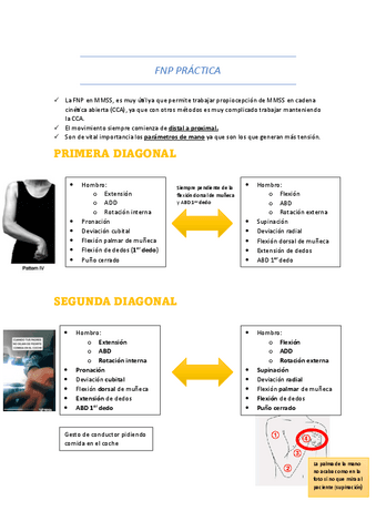 FNP-Practica.pdf